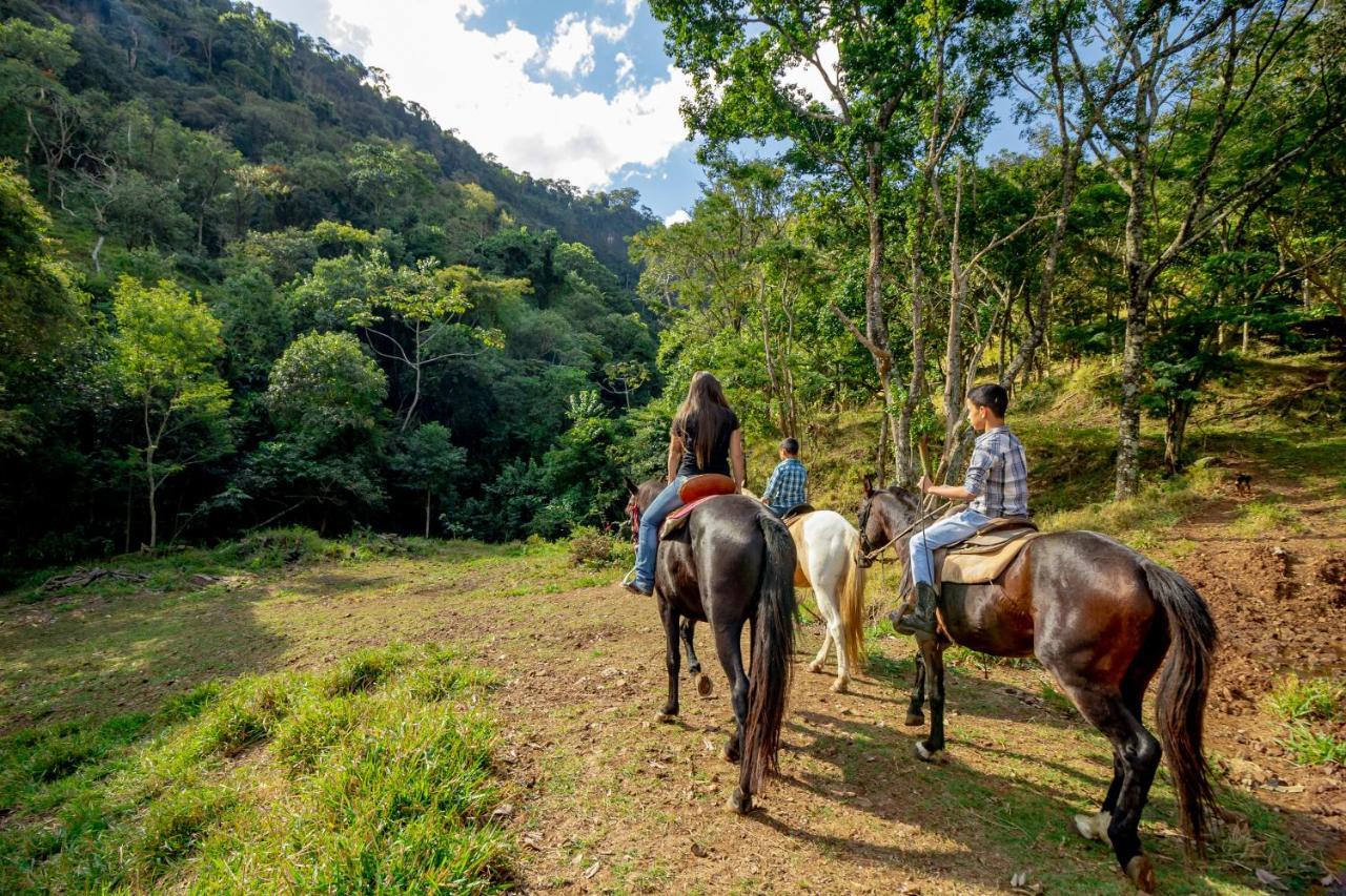 Hotel Fazenda Cachoeira Da Furna Sao Pedro  Zewnętrze zdjęcie